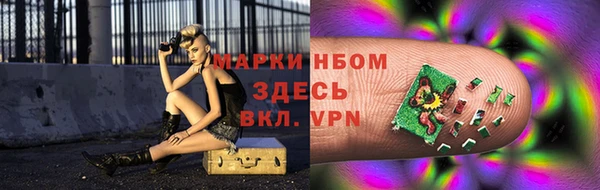 прущий лед Алзамай