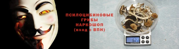 прущий лед Алзамай