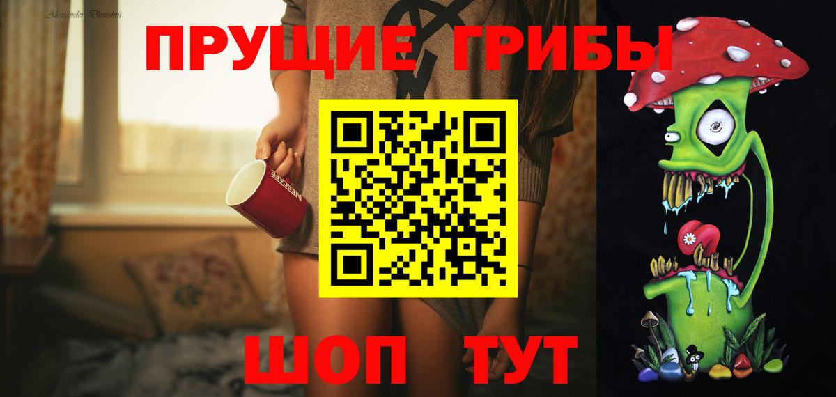 Псилоцибиновые грибы Psilocybine cubensis Новокузнецк