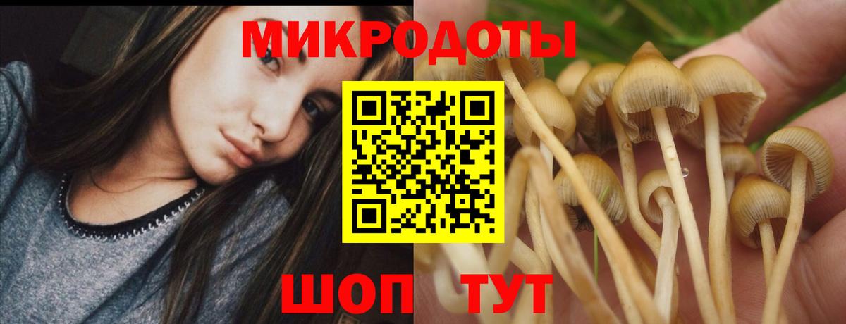Новокузнецк  Псилоцибиновые грибы мухоморы  продажа наркотиков  Вход с VPN  Псилоцибиновые грибы Cubensis 